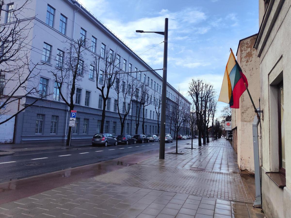 Owl Jazz Apartments - Luxury Apartments In The Heart Of The City Каунас Екстериор снимка